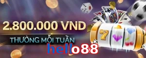 hello88