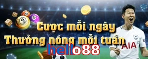 hello88